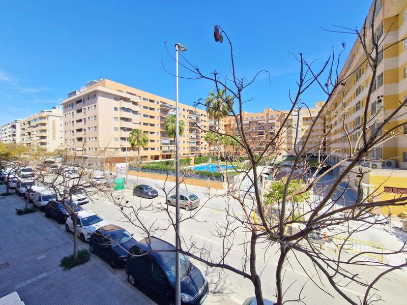 Foto c0a474bd-74da-429b-b3f8-0ab29a26a768. Pis a jalon 31 a Martín Carpena - Torre del Río Málaga