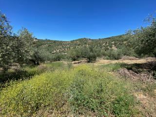 Residential Plot in Riogordo. 2 parcelas para 2 casitas