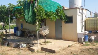 Finca rústica a Arboç (L´)