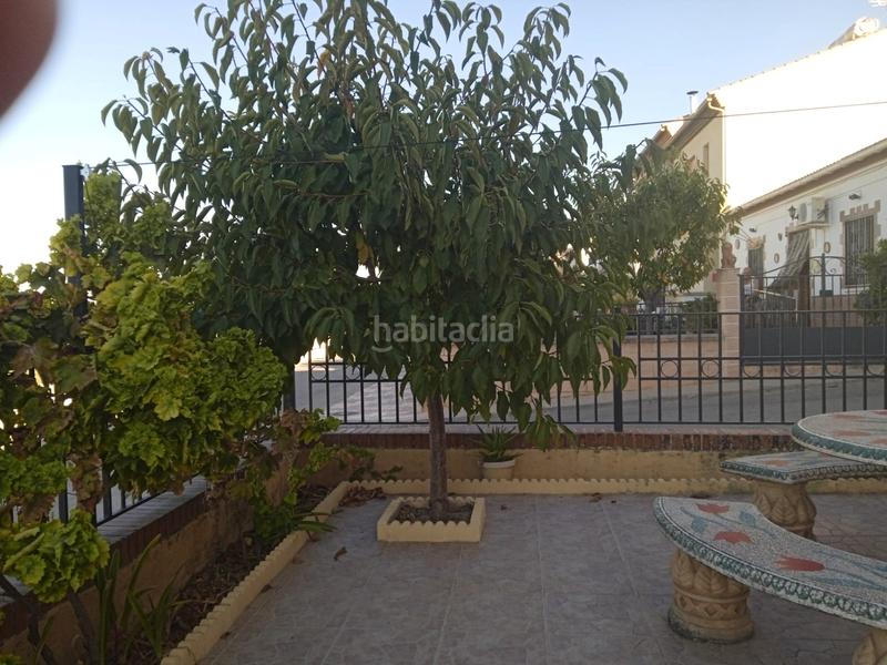 Foto 6e34889b-446a-4622-9036-cba3d8789b83. Casa  en c/ granada c/ canal en Moraleda de Zafayona