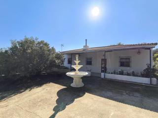Mas à Pozo negro 0
