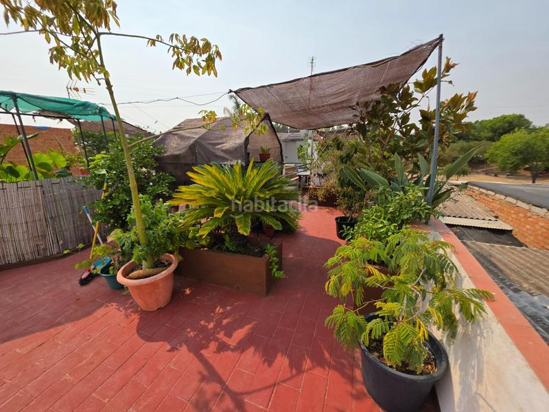 Foto ff66cd7e-6d02-4243-9d88-0f126e6daea1. Casa adosada casa de pueblo en Gibraleón