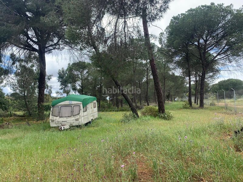 Foto a821f61a-a494-44cb-85ce-1e4ce1f70d5e. Finca rústica a San Bartolomé de la Torre
