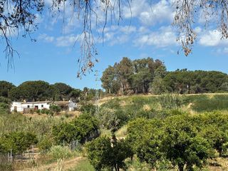 Landgut in Gibraleón. Finca en la calvilla