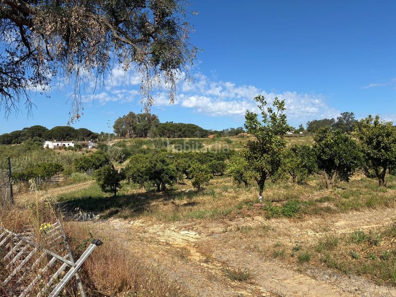 Foto b202bac3-30f2-40b9-9c80-d28c588b8b15. Finca rústica a Gibraleón