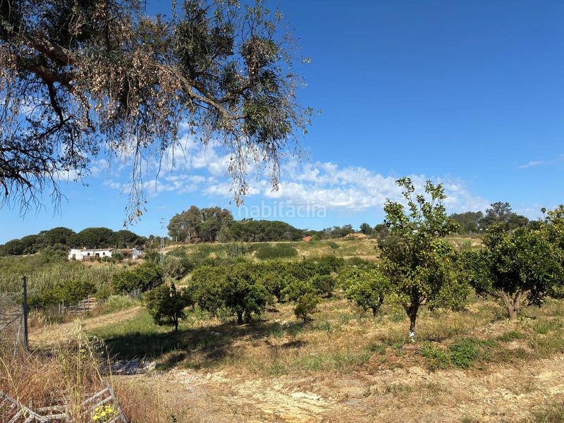Foto bd6fcb5f-abab-4521-888a-1a21a6595a37. Finca rústica a Gibraleón
