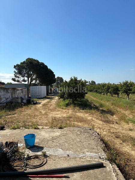 Foto dfe23807-f1d6-4d0d-ae0c-b94379187ed2. Finca rústica a Gibraleón