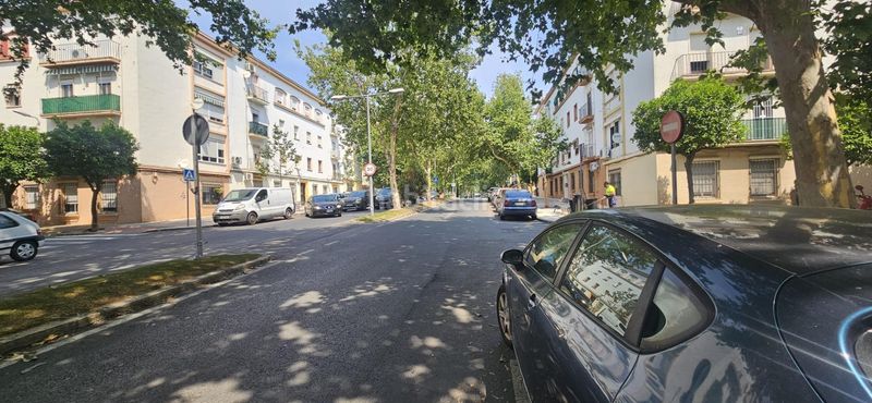 Foto a5664287-347d-4bc5-b3cc-a032365ea1d8. Pis a Las Torres - Guadalupe Huelva