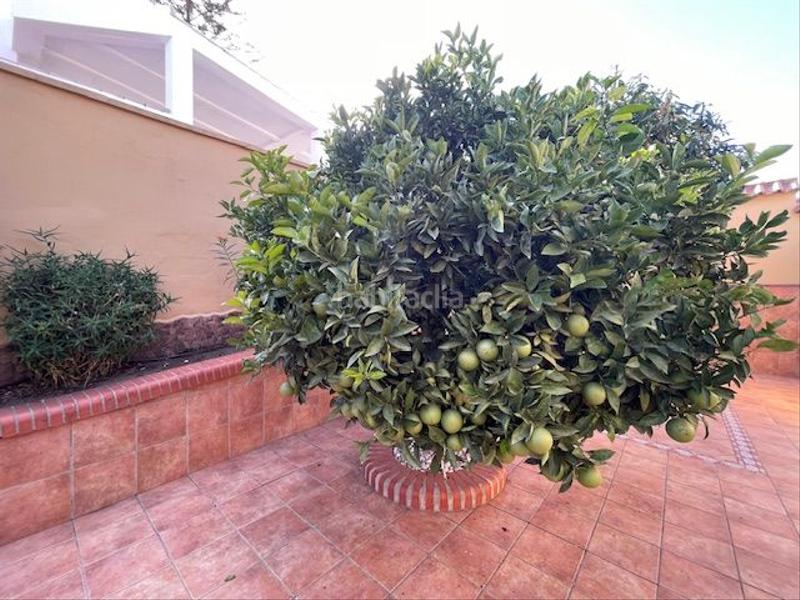 Foto 67dbe16d-73ea-46df-b506-dd4b31ab4017. Xalet amb calefacció aparcament piscina a San García Algeciras