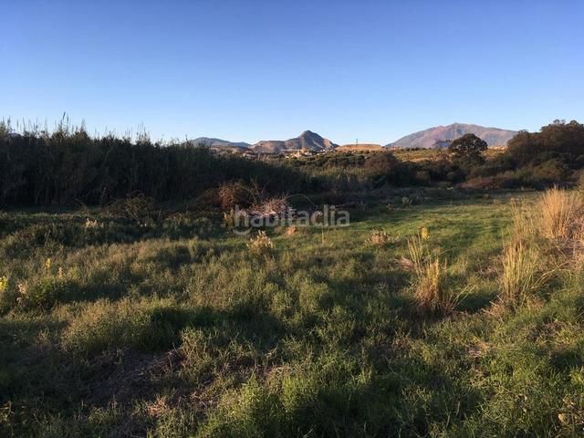 Foto d1b80602-66cf-444f-91f6-e30d7adb5865. Finca rústica a Bel - Air Estepona