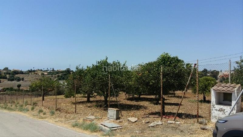 Foto 79757d42-97c2-4e2b-beca-105c0f3be3eb. Finca rústica inversores, gran oportunidad !!!!! en Estepona