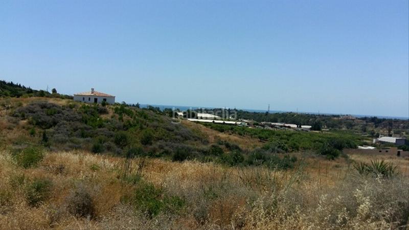 Foto a408d2b0-b536-458f-b49f-e237828d4628. Finca rústica inversores, gran oportunidad !!!!! en Estepona