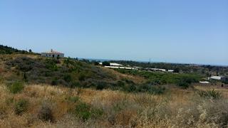 Fondo rustico in Los Llanos. Inversores, gran oportunidad !!!!!