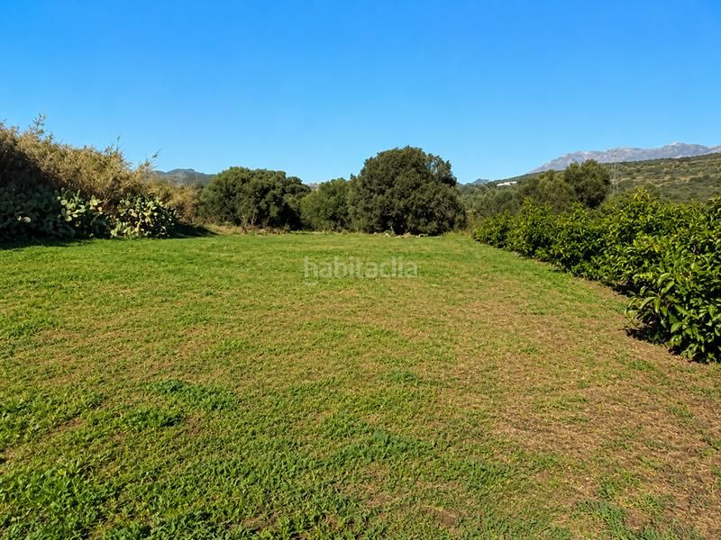 Foto 462d5c88-ed73-4a1b-a7a7-786291f30a93. Finca rústica a Bahía Dorada Estepona