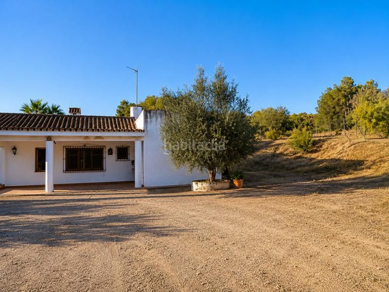 Foto 944a0c8d-5d1f-4579-839b-740a81c6828b. Finca rústica a Los Llanos Estepona