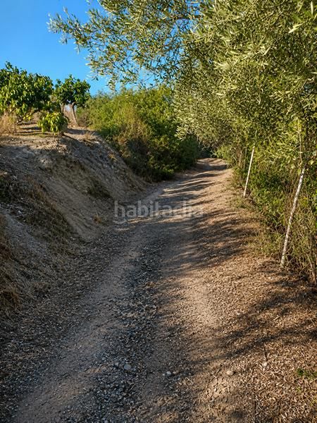 Foto ae82bf81-1faa-43b2-88f1-657afa98640a. Finca rústica a Los Llanos Estepona