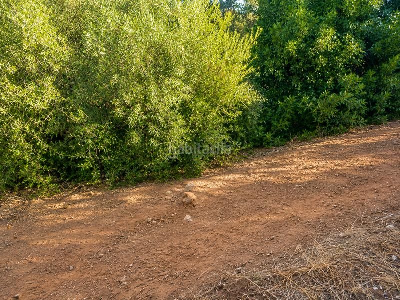 Foto f4789471-60f9-4f31-9b89-6511707b13b9. Finca rústica a Los Llanos Estepona