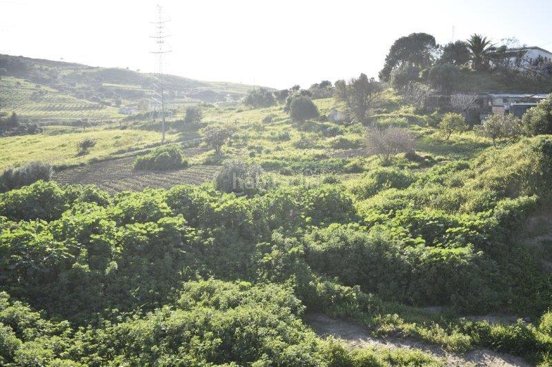 Foto 8d37f447-15ae-4c40-8bea-77fa294cfbfa. Fondo rustico in Casares pueblo Casares