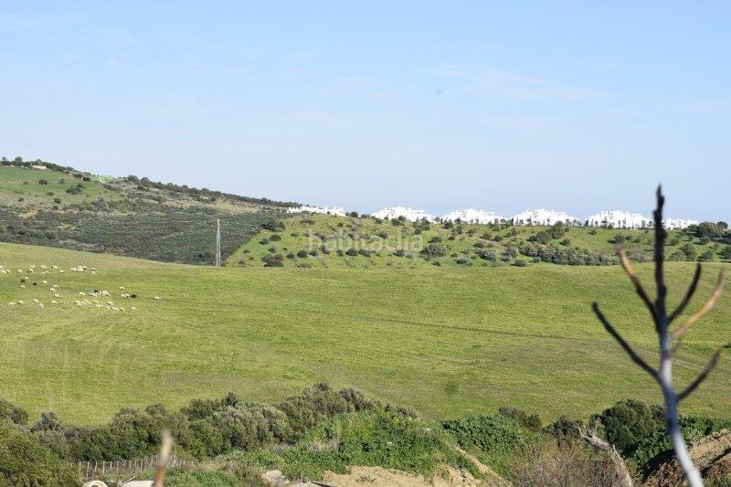 Foto b3ab4e5a-f10b-49b3-bdd9-7b2b80c0f206. Fondo rustico in Casares pueblo Casares