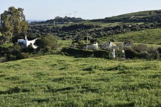 Finca rústica a Casares pueblo. En venta casa con terreno en casares