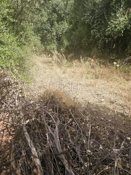 Foto 0a604d0e-6b65-4ebe-8e4f-ff8c4c4f1d9c. Finca rústica oportunidad! terreno rustico en altos de Estepona Estepona