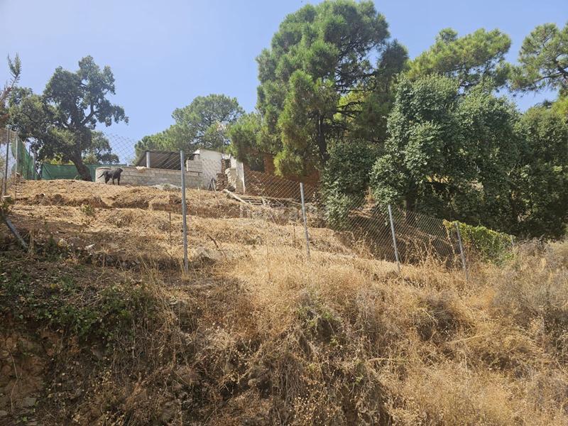 Foto 4287d883-61f0-4a9c-94b4-c4e4e9044aa4. Finca rústica oportunidad! terreno rustico en altos de Estepona Estepona