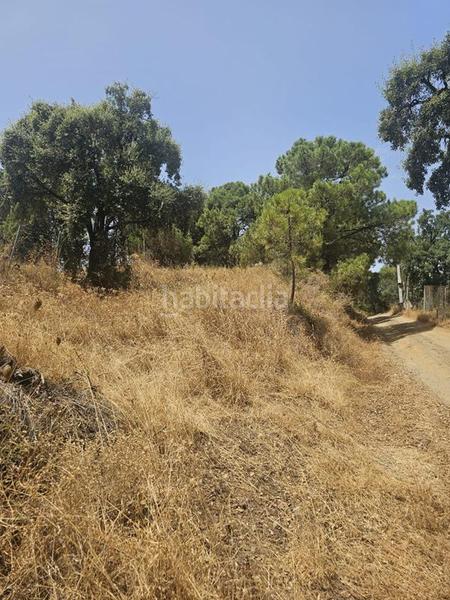 Foto bc78cf50-4a68-438f-9803-7b253ecce72f. Finca rústica oportunidad! terreno rustico en altos de Estepona Estepona