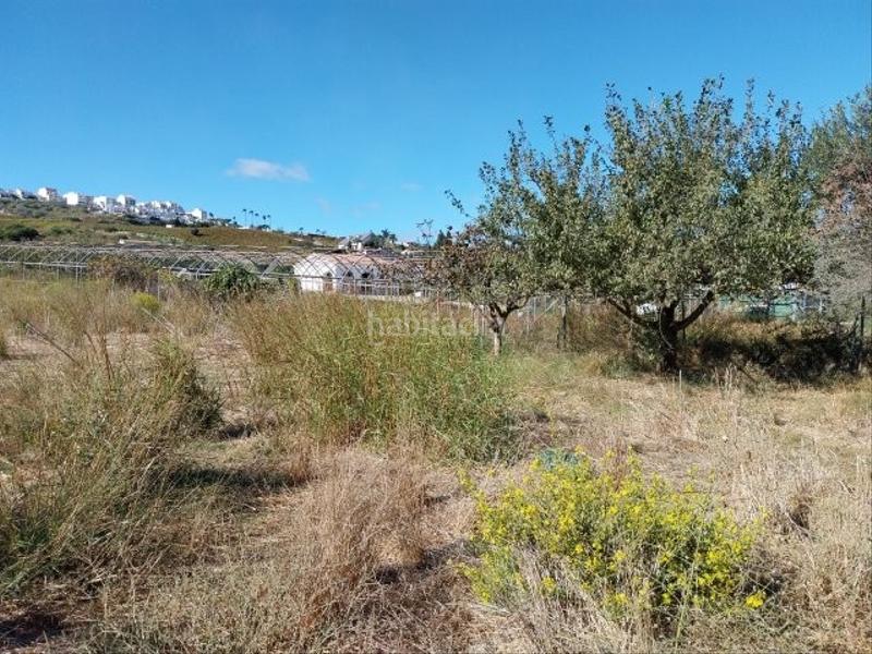 Foto 4f36e1bf-668f-4681-a033-fb0b75550d8b. Location propriété dans Manilva pueblo Manilva