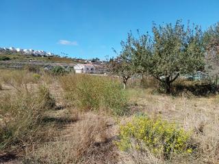 Rent Rural plot in Manilva Pueblo. Alquiler de terreno rústico  2000 m