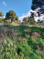 Rural plot in Altos de Estepona. Se venden varias parcelas en la zona de forest hill