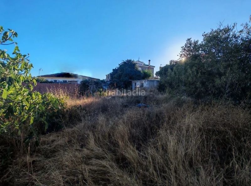 Foto 803391d0-e24b-4857-880a-67a829c5c86c. Finca rústica a Fuente Alegre - El Chaparral - Los Morales Málaga