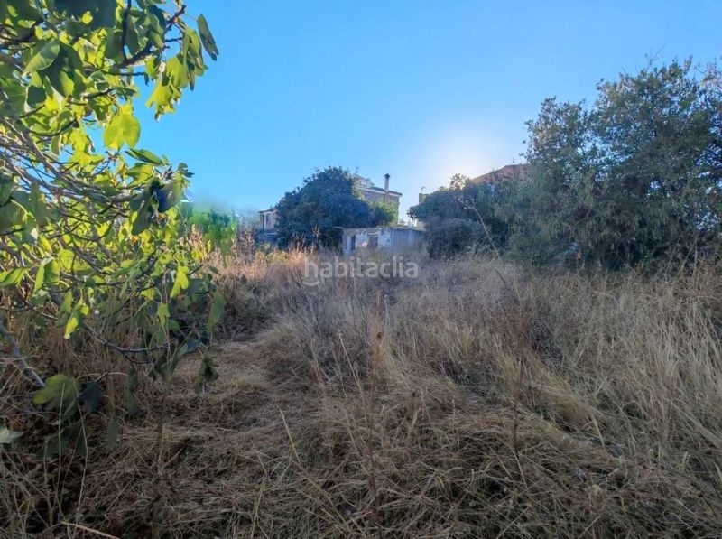 Foto c69d64c6-4995-4d33-9db4-95123b794036. Finca rústica a Fuente Alegre - El Chaparral - Los Morales Málaga