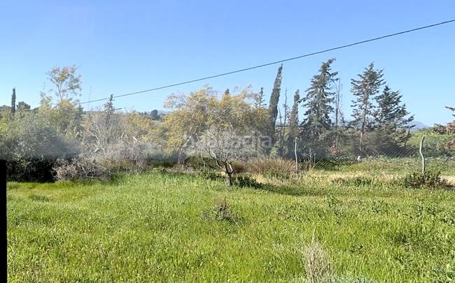 Foto d8ee9daf-a8d5-45d6-a725-e89f89bec13c. Finca rústica a Casalpalma - Fahala Cártama