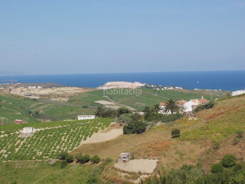 Foto 61e84f7f-2593-4a1d-820d-93dc0164bef0. Finca rústica a Manilva pueblo Manilva