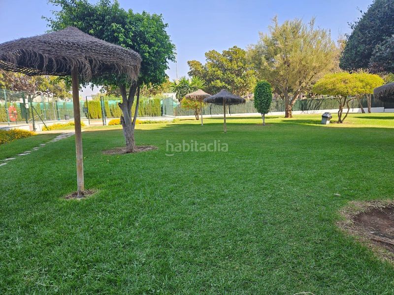 Foto e1a6b3bd-88bd-4666-83af-7a2a5c9b7d18. Pis amb calefacció aparcament piscina a El Consul - Ciudad Universitaria - El Romeral Málaga