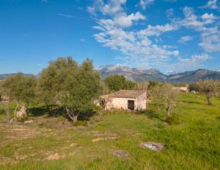Country house in Búger. Finca rústica con casa de aperos y vistas panorámicas en buger,
