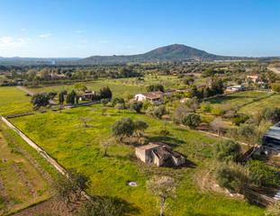 Country house in Búger. Finca rústica con casa de aperos y vistas panorámicas en buger,