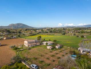 Mas à Búger. Finca rústica con casa en venta en buger, mallorca