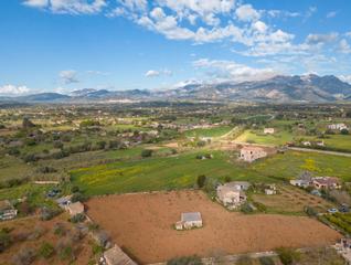 Masia a Búger. Finca rústica con casa en venta en buger, mallorca