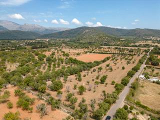 Mas à Búger. Terreno rústico en venta con proyecto y licencia de obra en camp