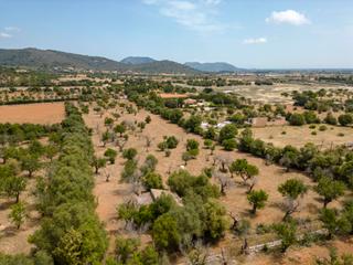 Bauernhof in Búger. Terreno rústico en venta con proyecto y licencia de obra en camp
