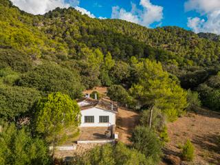 Masía en Pollença Poble. Finca rústica histórica en venta en vall den march pollensa, mal