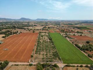Rural plot in Zona Periurbana. Terreno rústico con licencia de obras en venta en búger, mallorc