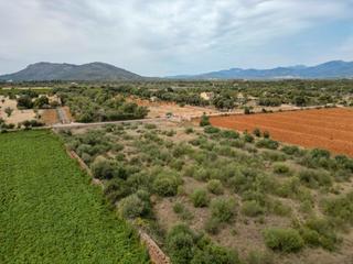 Rural plot in Zona Periurbana. Terreno rústico con licencia de obras en venta en búger, mallorc