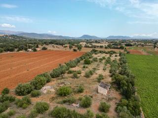 Propriété à Zona Periurbana. Terreno rústico con licencia de obras en venta en búger, mallorc