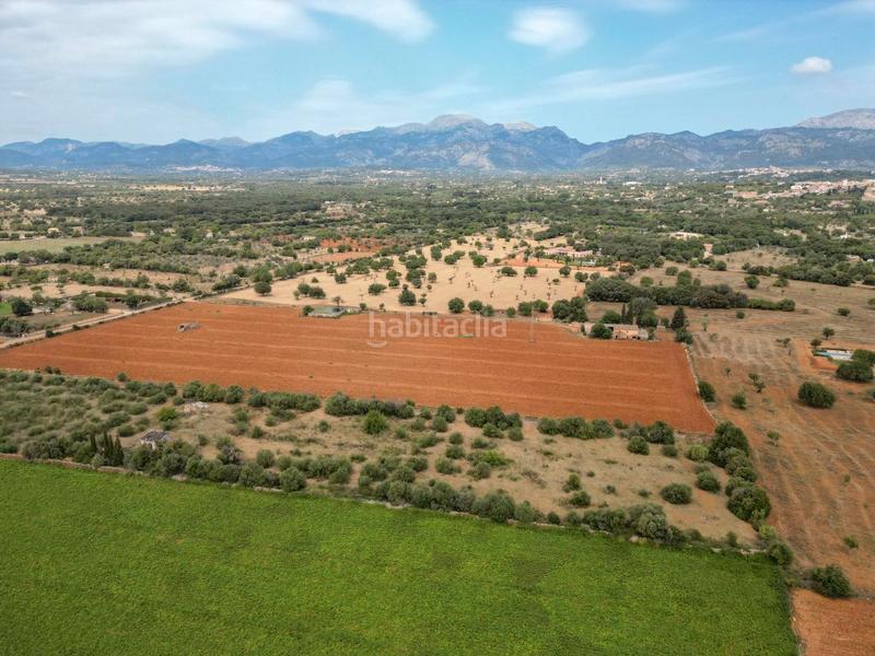 Foto 337e82eb-5d19-404a-91e4-bd381d9c24e8. FInca rústica a Zona Periurbana Inca