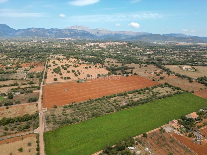 Foto 41c40ad0-1053-4c1d-b52f-4fa3912ef204. FInca rústica a Zona Periurbana Inca
