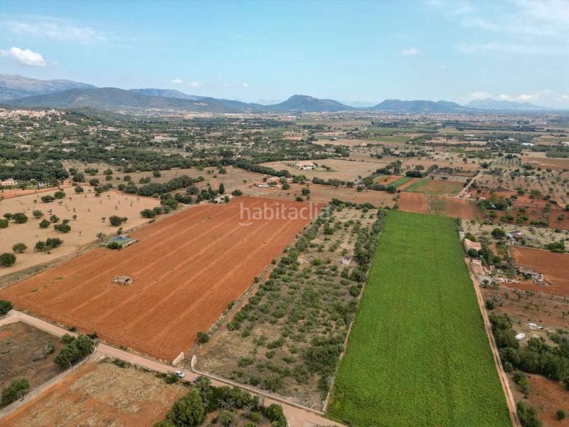 Foto a5aa3379-caea-4e2d-8dfc-69acb2e2eb3d. FInca rústica a Zona Periurbana Inca