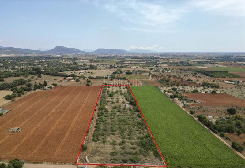 Foto b7f19c60-ca51-4aad-914c-5225c652bbf4. FInca rústica a Zona Periurbana Inca