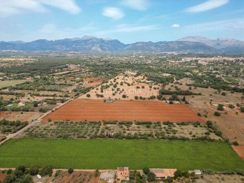Foto d661fd23-bff0-4396-bb08-f52154089357. FInca rústica a Zona Periurbana Inca